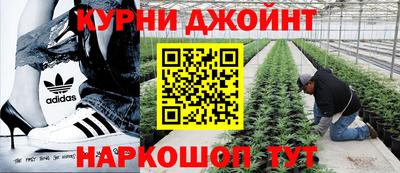 молекула духа Можайск