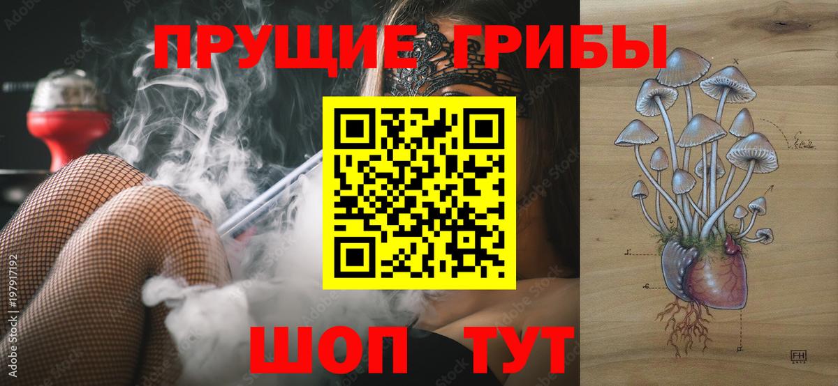 Псилоцибиновые грибы GOLDEN TEACHER Аксай