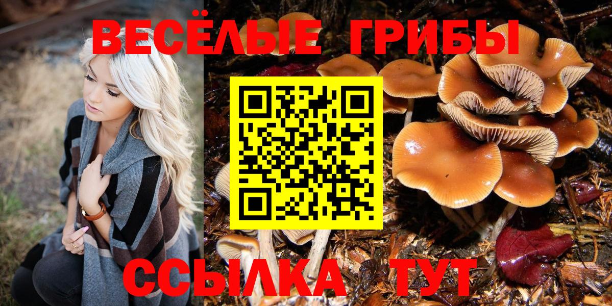 Псилоцибиновые грибы ЛСД  Псилоцибиновые грибы прущие грибы  Аксай  Вход с VPN 